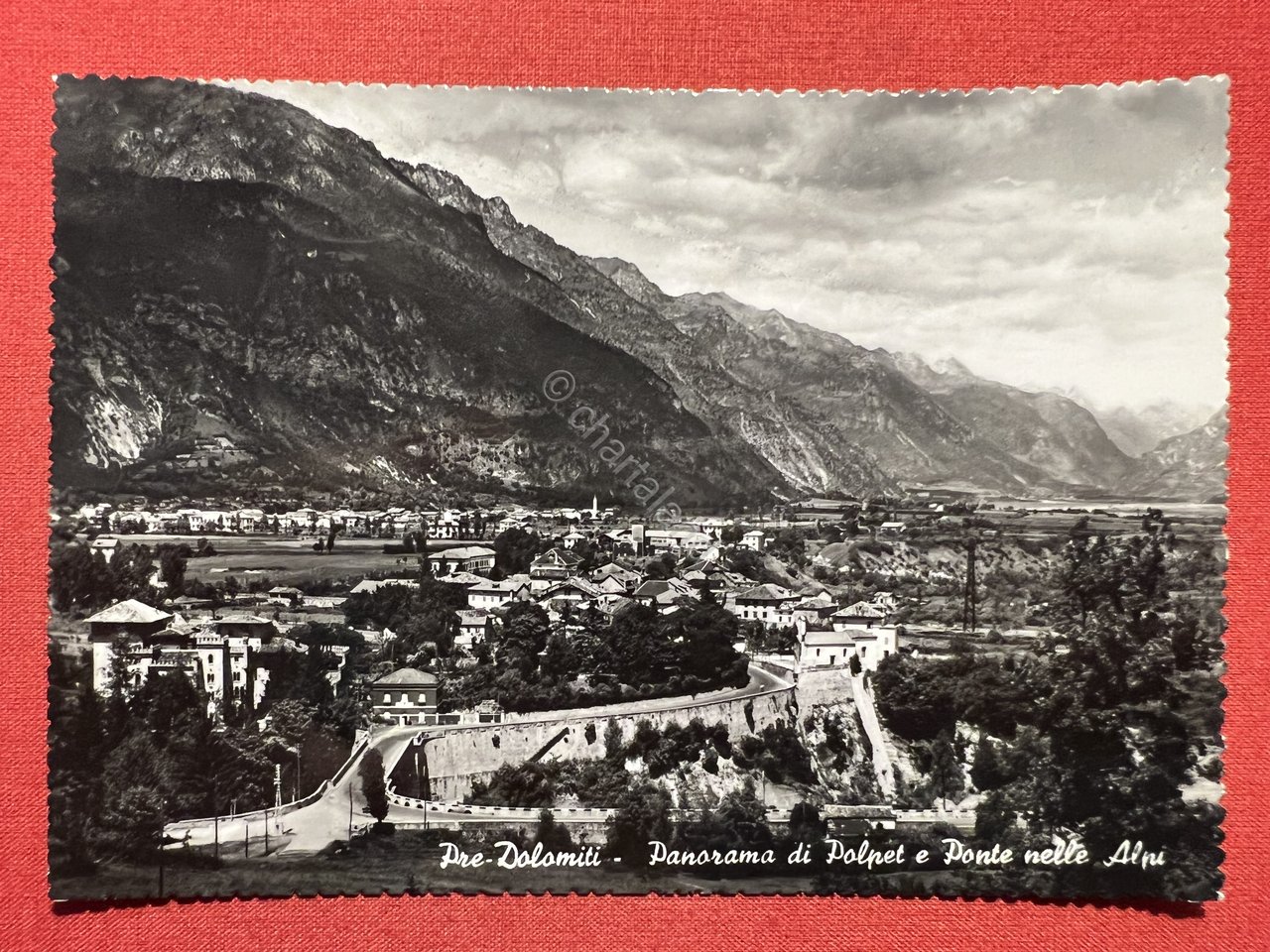 Cartolina - Pre-Dolomiti - Panorama di Polpet e Ponte nelle …