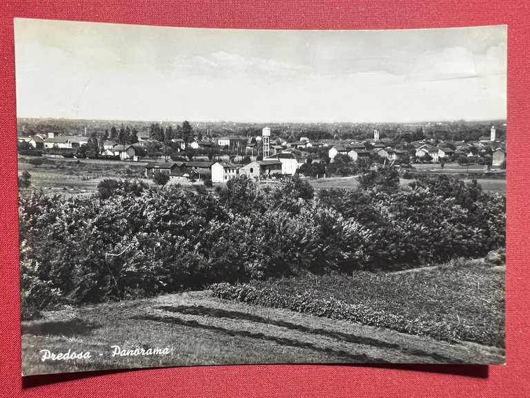Cartolina - Predosa ( Alessandria ) - Panorama - 1970