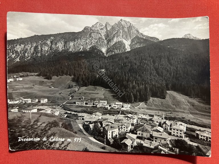 Cartolina - Presenaio di Cadore ( Belluno ) - Panorama …