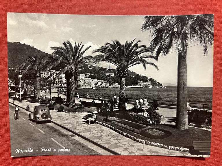 Cartolina - Rapallo ( Genova ) - Fiori e Palme …