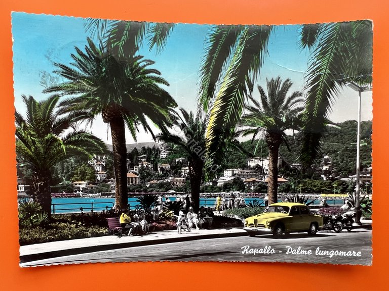 Cartolina - Rapallo ( Genova ) - Palme Lungomare - …