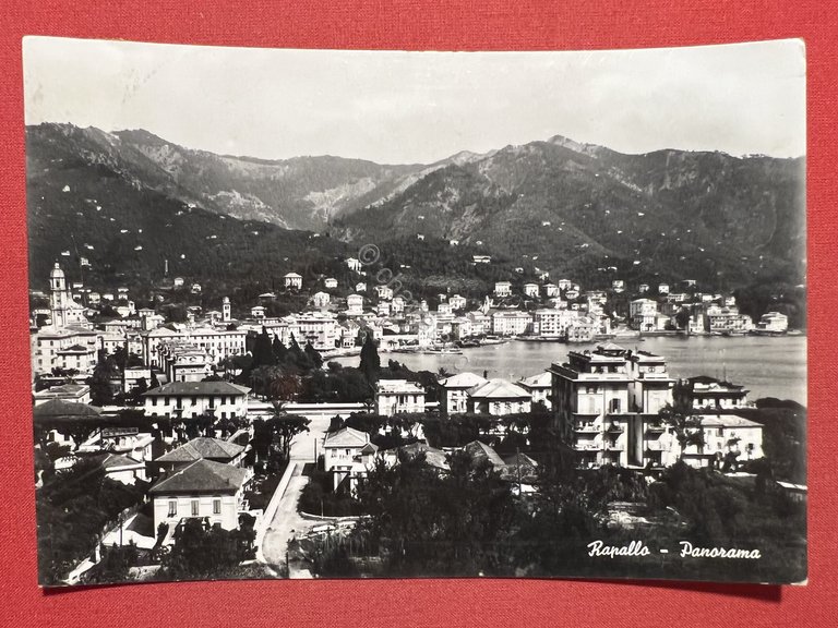 Cartolina - Rapallo ( Genova ) - Panorama - 1950