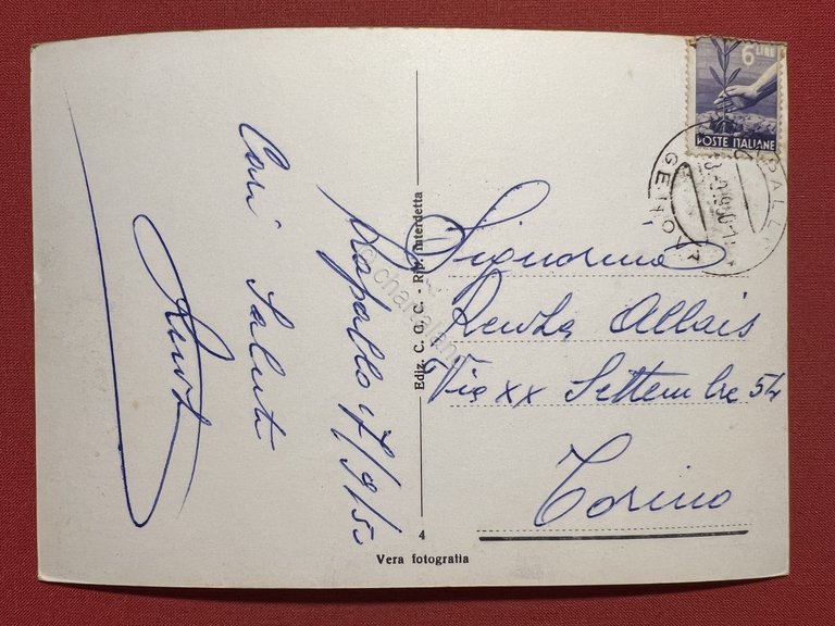 Cartolina - Rapallo ( Genova ) - Panorama - 1950