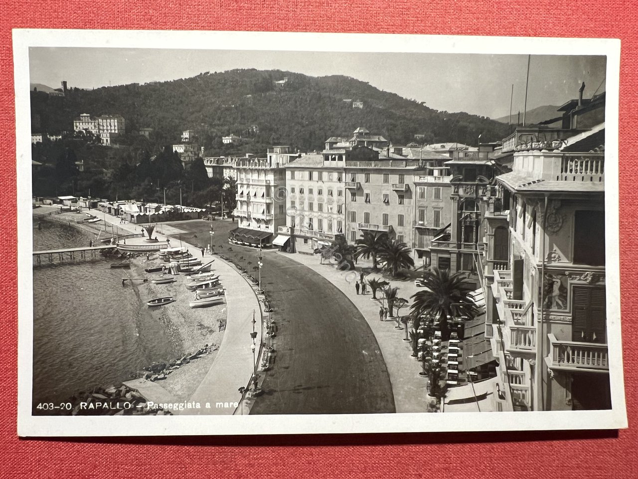 Cartolina - Rapallo ( Genova ) - Passeggiata a Mare …