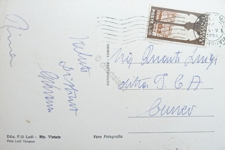 Cartolina - Reggio Emilia - Sala del Tricolore - 1954