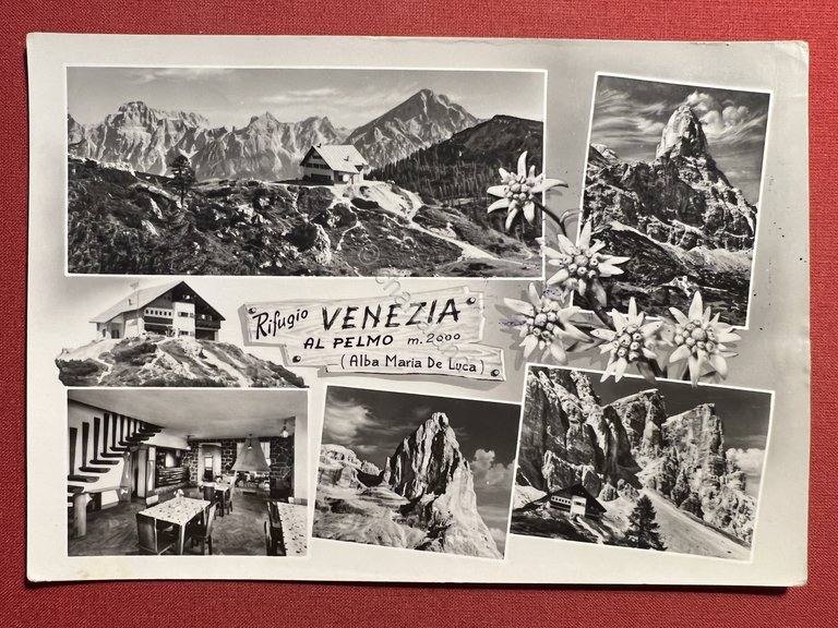 Cartolina - Rifugio Venezia al Pelmo ( Alba Maria De …