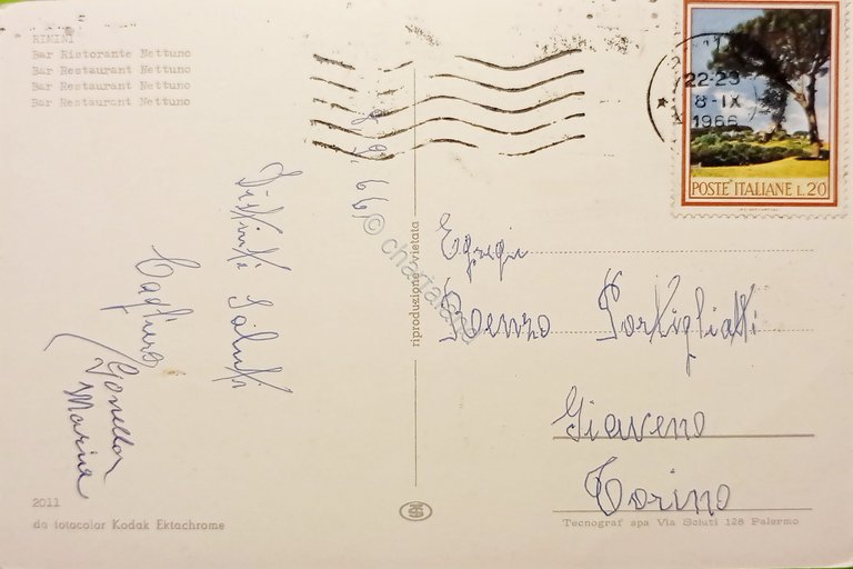 Cartolina - Rimini - Bar Ristorante Nettuno - 1966