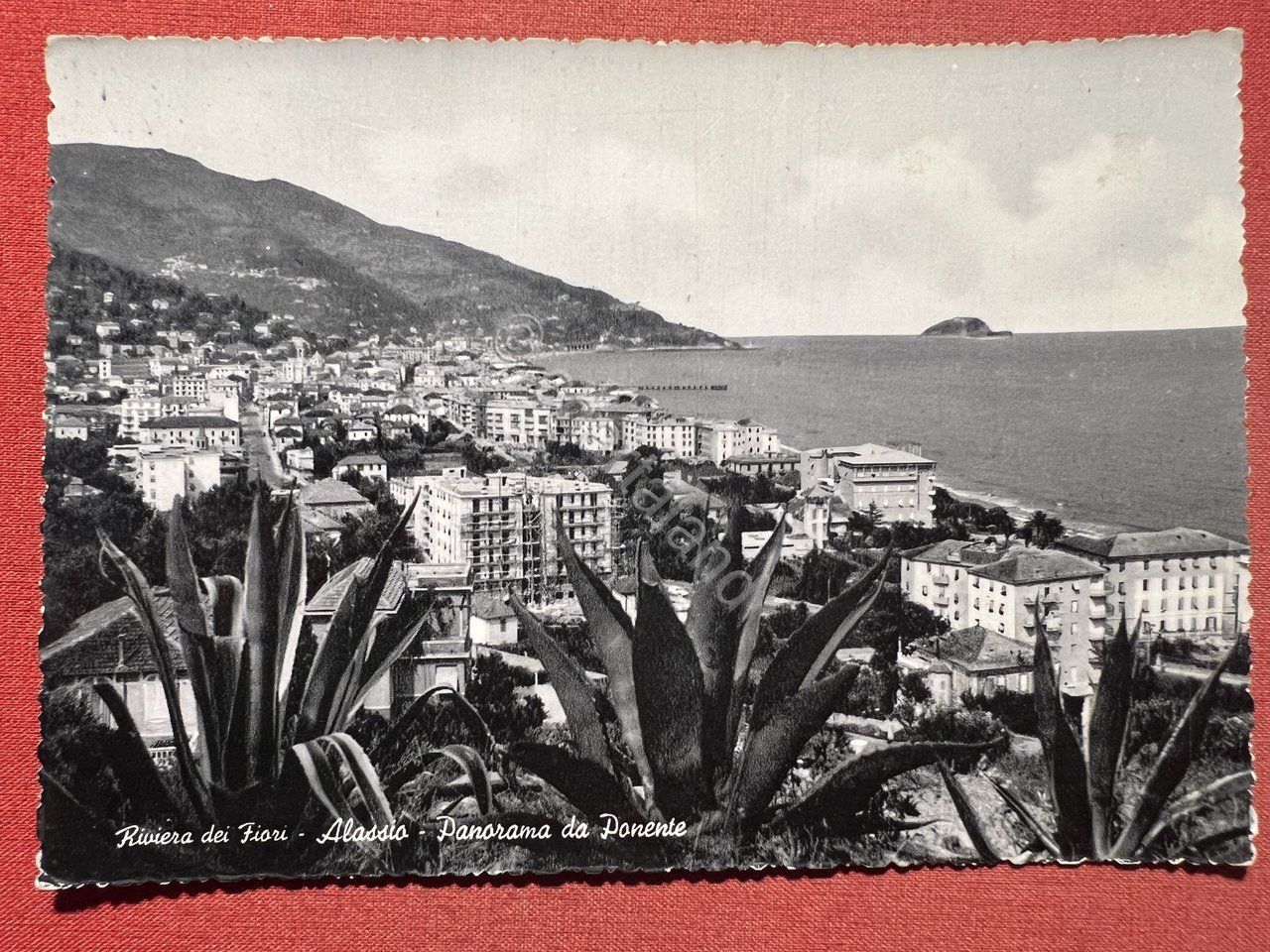Cartolina - Riviera dei Fiori - Alassio - Panorama da …
