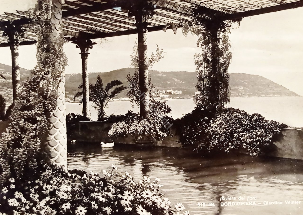 Cartolina - Riviera dei Fiori - Bordighera - Giardino Winter …