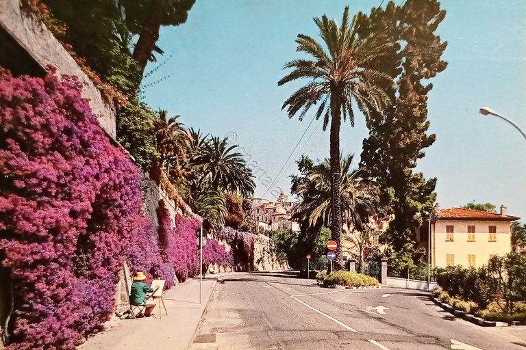 Cartolina - Riviera dei Fiori - Bordighera - La Strada …