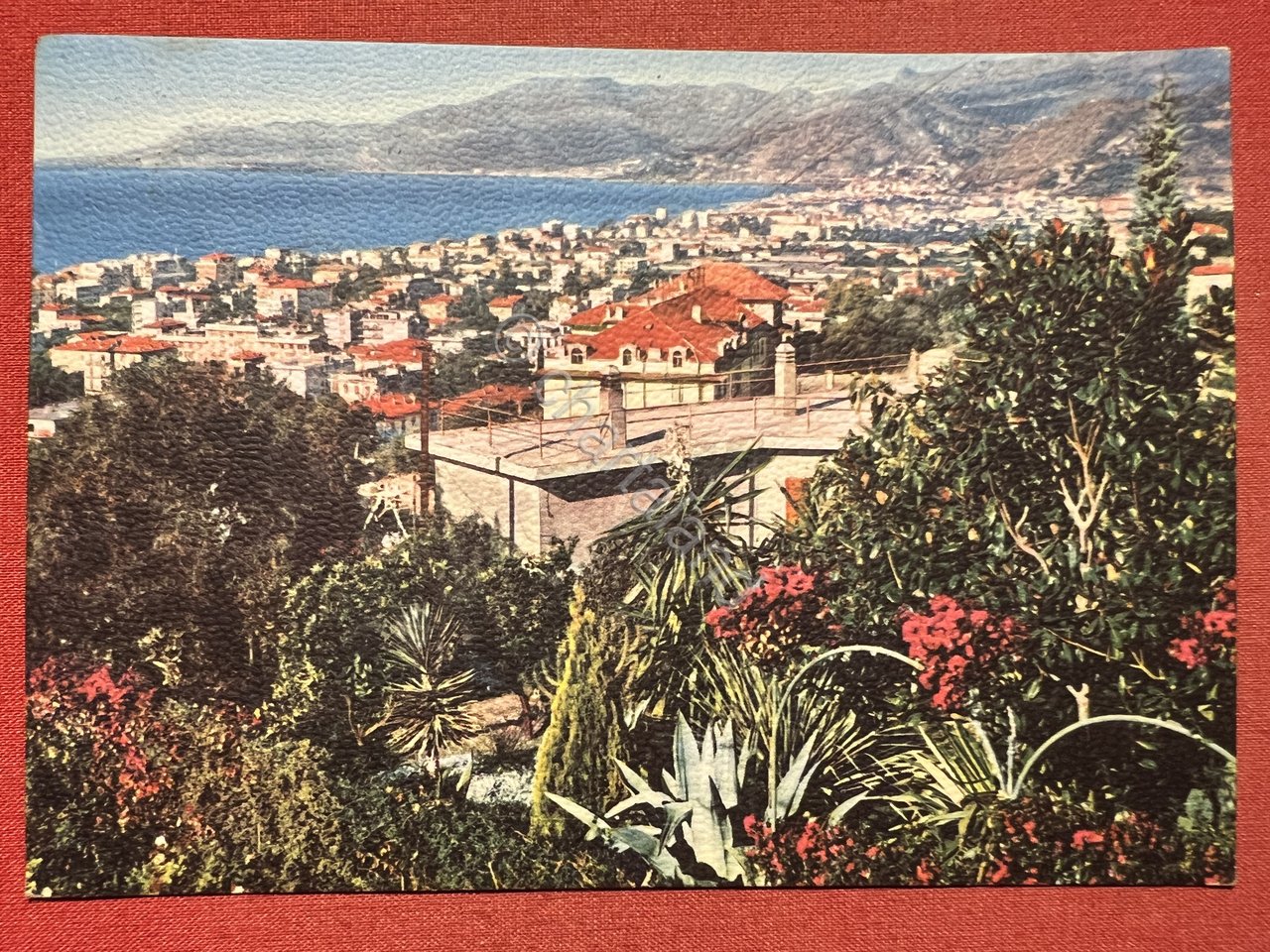 Cartolina - Riviera dei Fiori - Bordighera - Panorama sfondo …
