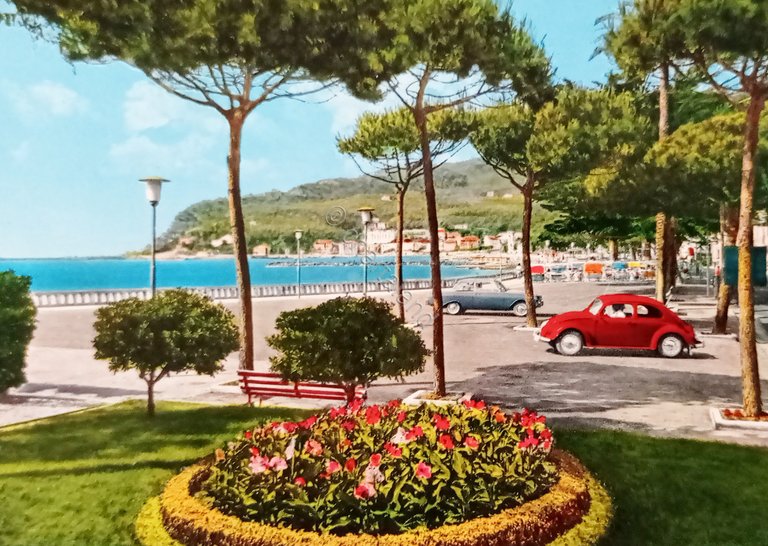 Cartolina - Riviera dei Fiori - Diano Marina - Giardini …