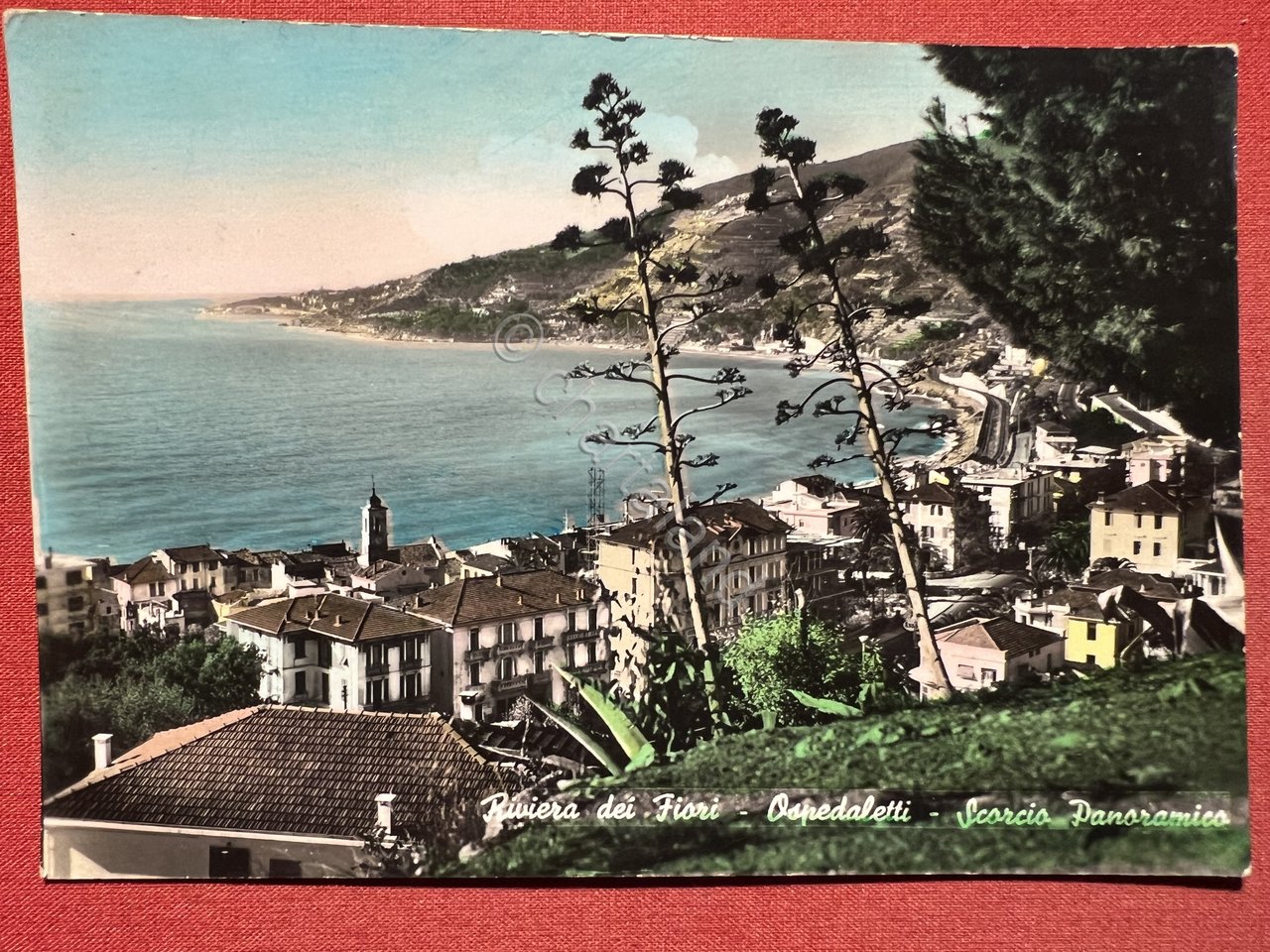 Cartolina - Riviera dei Fiori - Ospedaletti - Scorcio Panoramico …