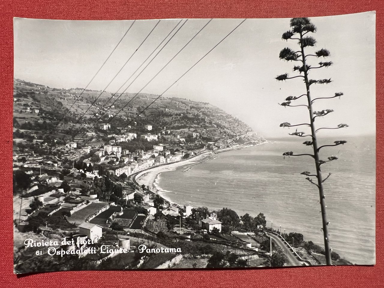 Cartolina - Riviera dei Fiori - Ospedaletti Ligure - Panorama … | Immagine principale