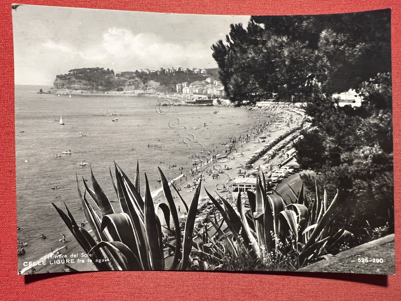 Cartolina - Riviera del Sole - Celle Ligure fra le …