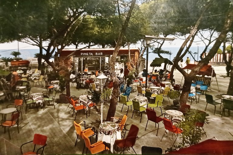 Cartolina - Riviera delle Palme - Loano - La Pineta …