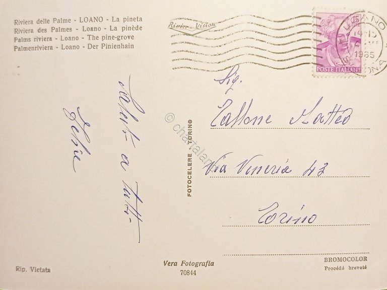 Cartolina - Riviera delle Palme - Loano - La Pineta …