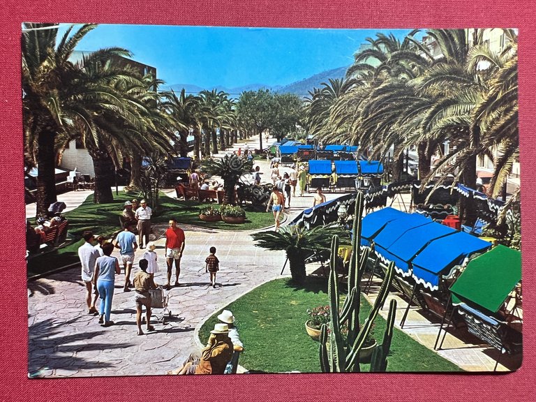 Cartolina - Riviera delle Palme - Loano ( Savona ) …