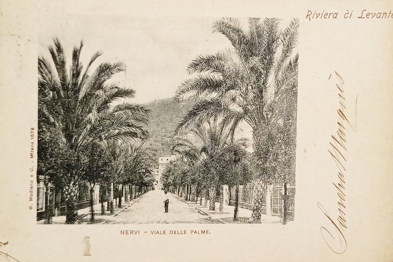 Cartolina - Riviera di Levante - Nervi - Viale delle …