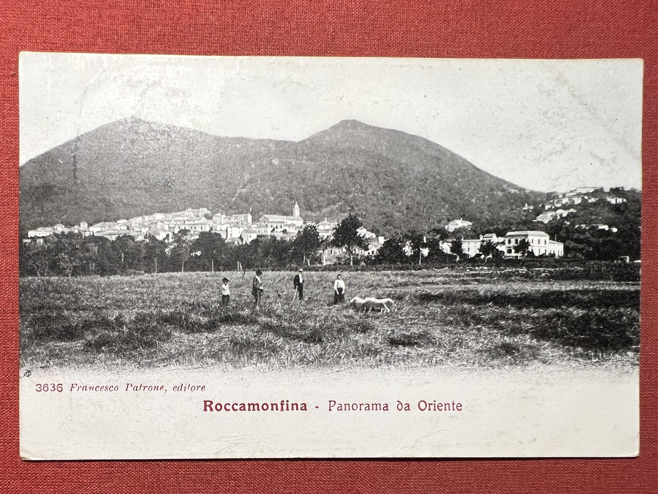 Cartolina - Roccamonfina ( Caserta ) - Panorama da Oriente …