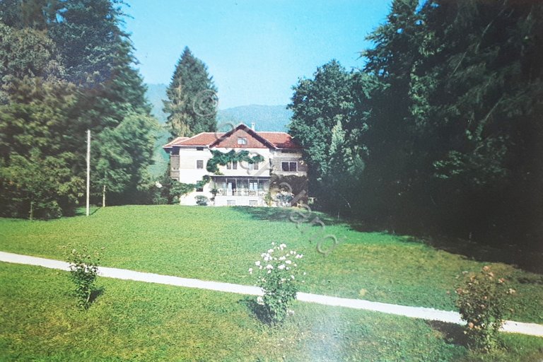 Cartolina - Roncegno Terme - Villa Baito - 1971
