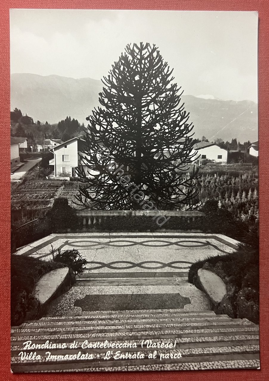 Cartolina - Ronchiano di Castelveccana ( Varese ) - Villa …