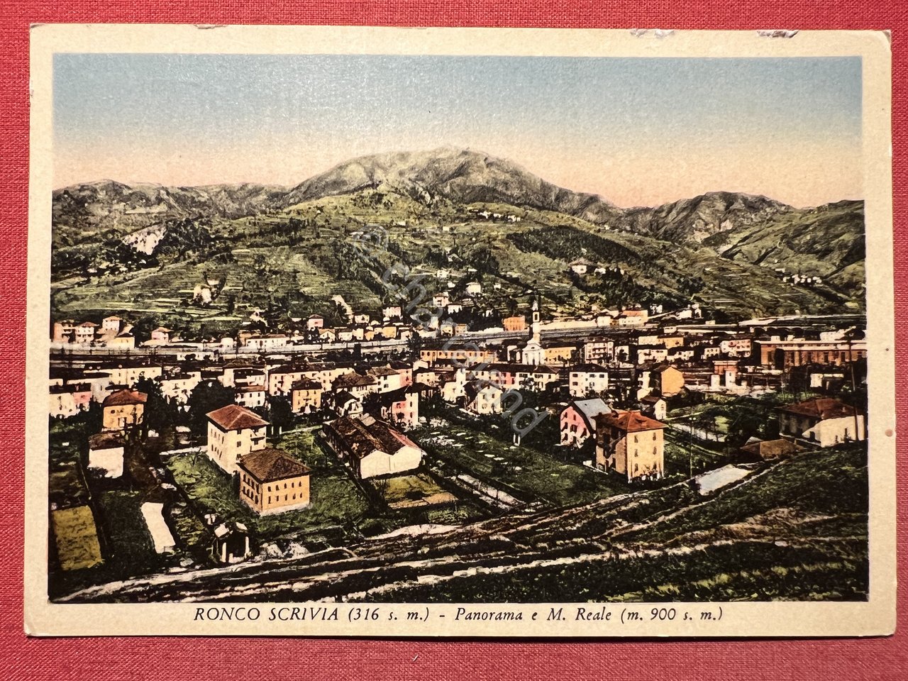 Cartolina - Ronco Scrivia ( Genova ) - Panorama e …