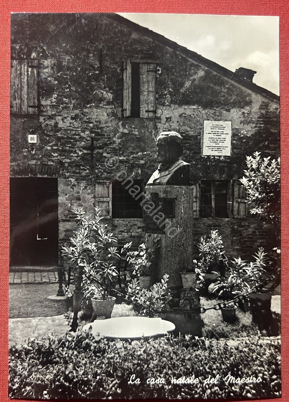 Cartolina - Roncole ( Parma ) - La Casa Natale …