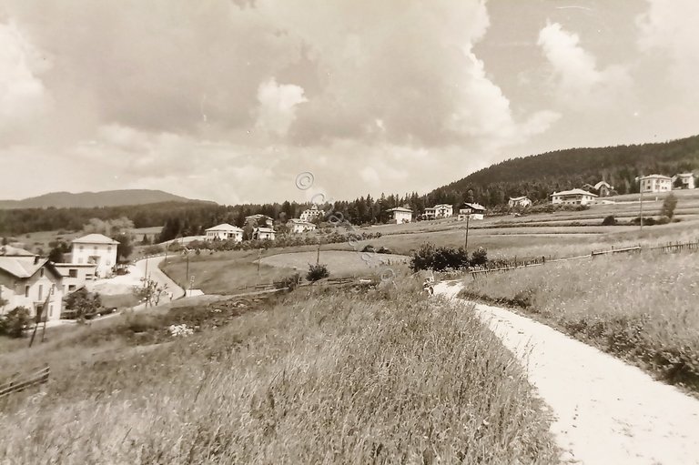 Cartolina - Ronzone ( Val di Non ) - Panorama …