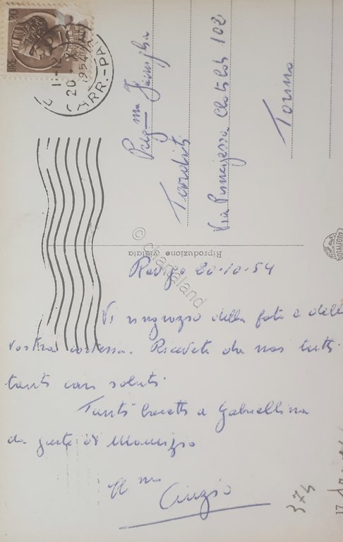 Cartolina - Rovigo - Monumento a Garibaldi - 1954