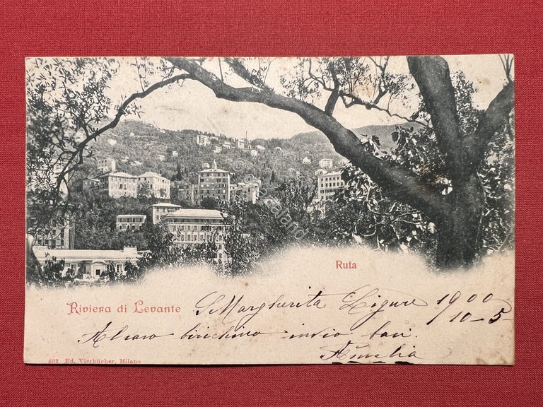 Cartolina - Ruta ( Genova ) - Riviera di Levante …