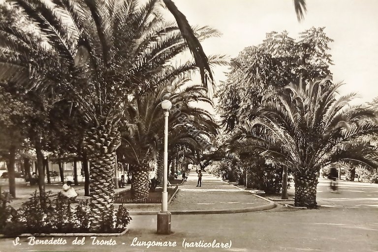 Cartolina - S. Benedetto del Tronto - Lungomare - 1959
