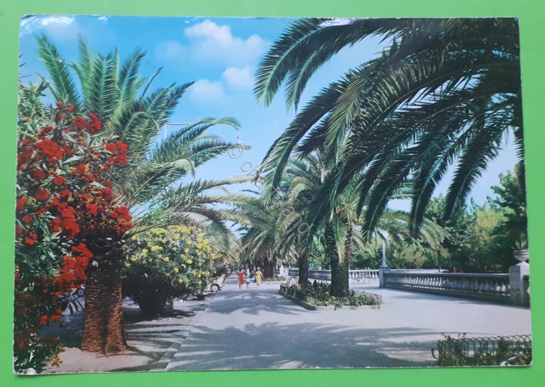 Cartolina - S. Benedetto del Tronto - Viale Trieste - …