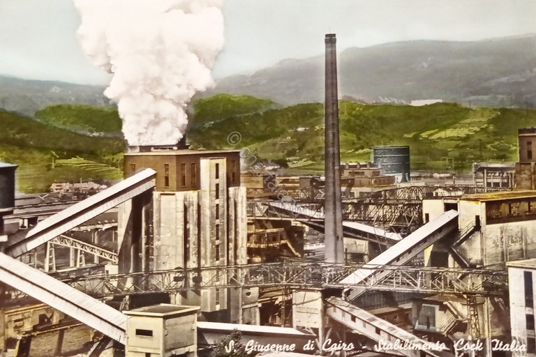 Cartolina - S. Giuseppe di Cairo - Stabilimento Cock Italia …