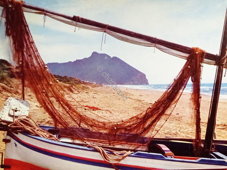 Cartolina - Sabaudia - Il Circeo - 1970 | Immagine Gallery 4