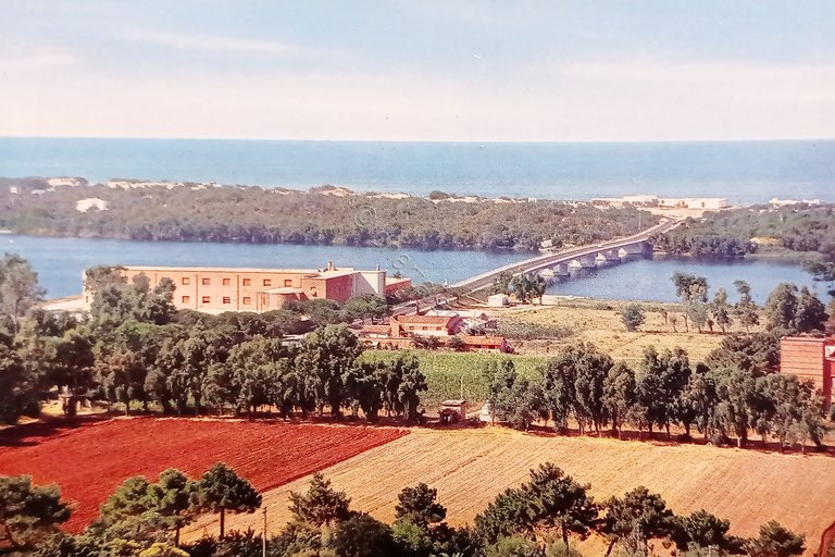 Cartolina - Sabaudia - Ponte Giovanni XXIII sul Lago di …