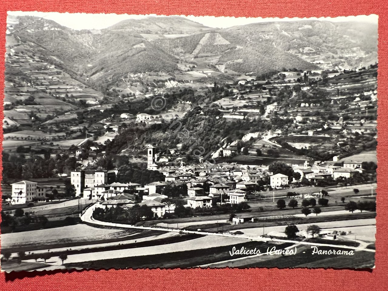 Cartolina - Saliceto ( Cuneo ) - Panorama - 1955