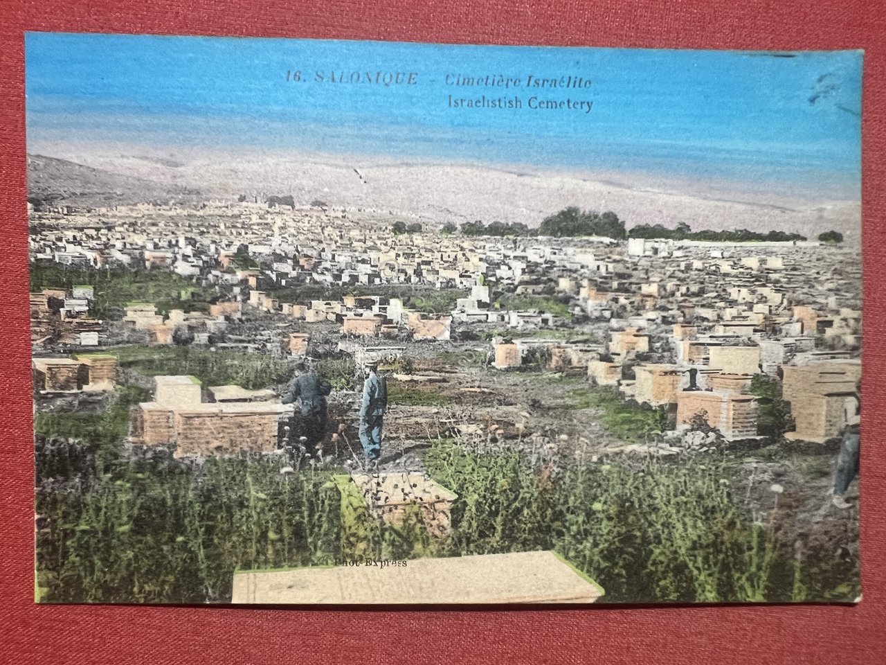 Cartolina - Salonique - Cimetière Israélite - 1920 ca. | Immagine principale