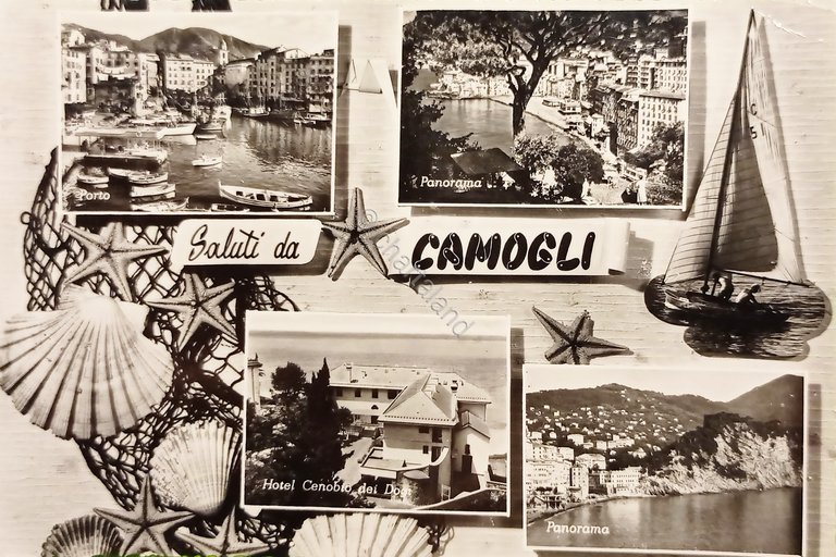 Cartolina - Saluti da Camogli - Vedute diverse - 1956