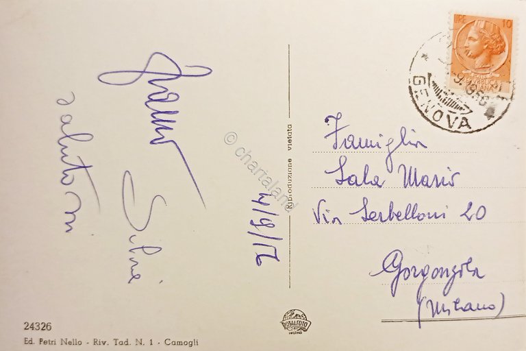 Cartolina - Saluti da Camogli - Vedute diverse - 1956