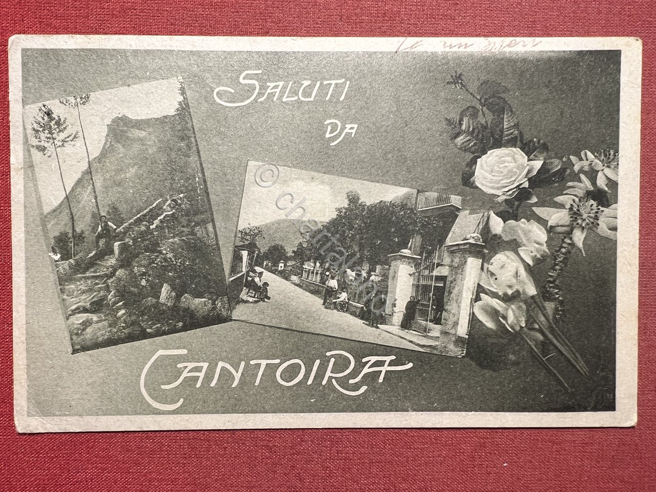Cartolina - Saluti da Cantoira ( Torino ) - 1928