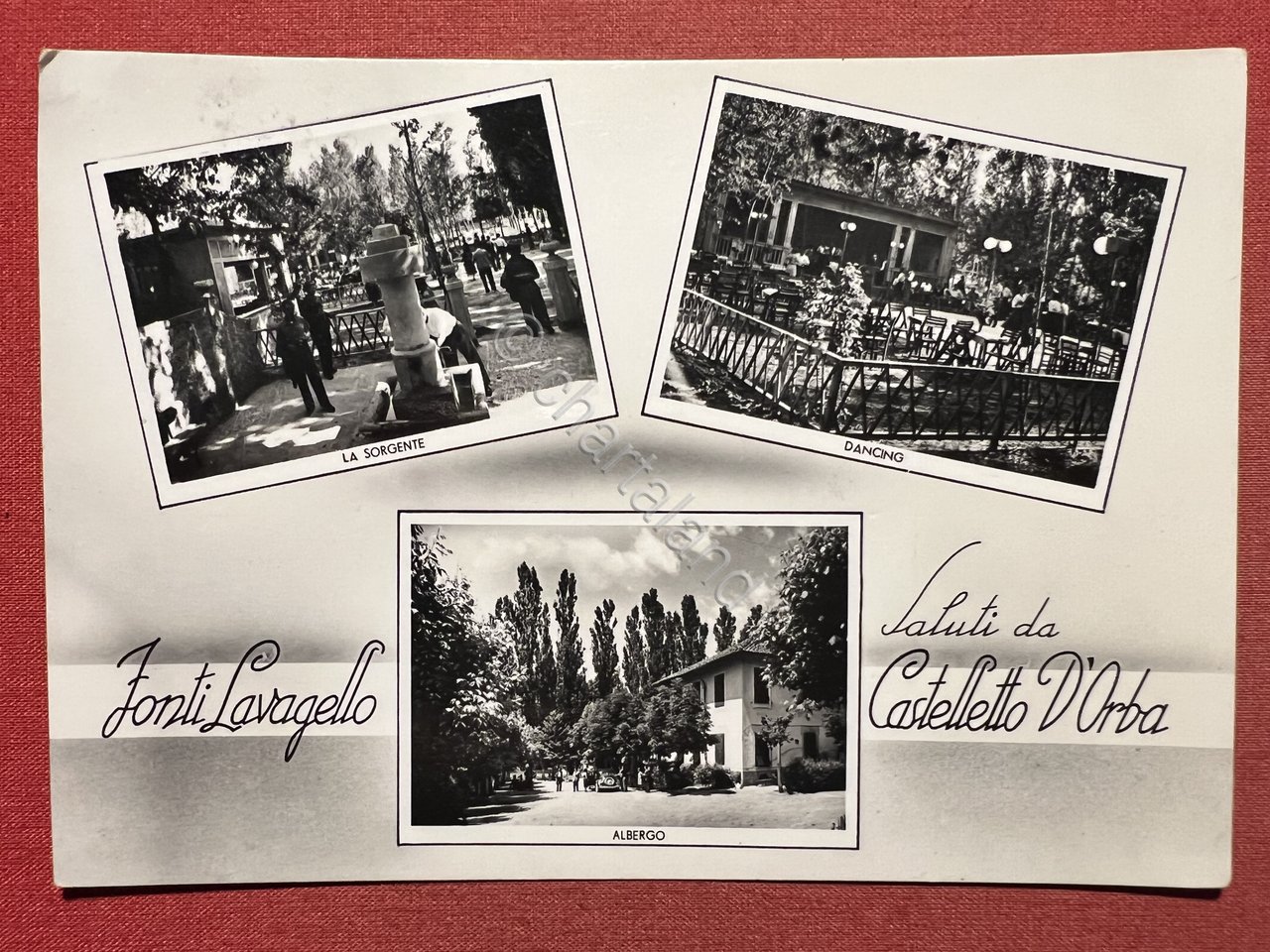 Cartolina - Saluti da Castelletto D'Orba ( Alessandria ) - …