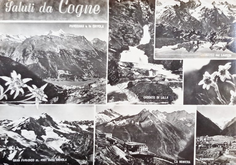 Cartolina - Saluti da Cogne - Vedute diverse - 1962