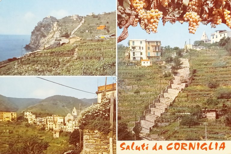 Cartolina - Saluti da Corniglia - Vedute diverse - 1975 …