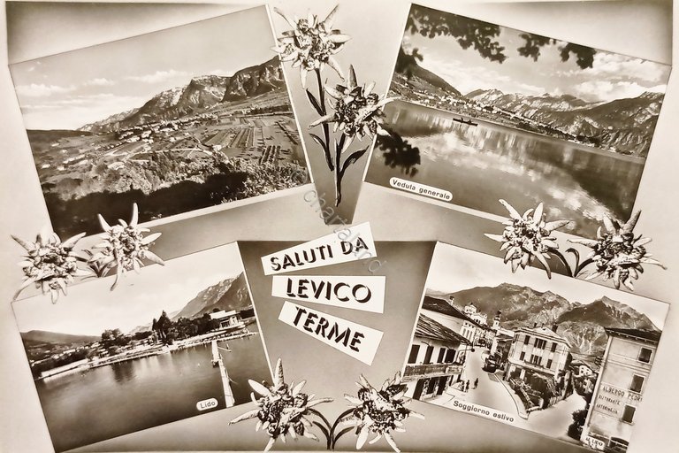 Cartolina - Saluti da Levico Terme - Vedute diverse - …