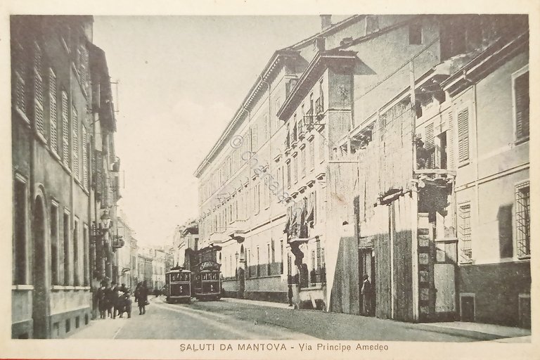 Cartolina - Saluti da Mantova - Via Principe Amedeo - …
