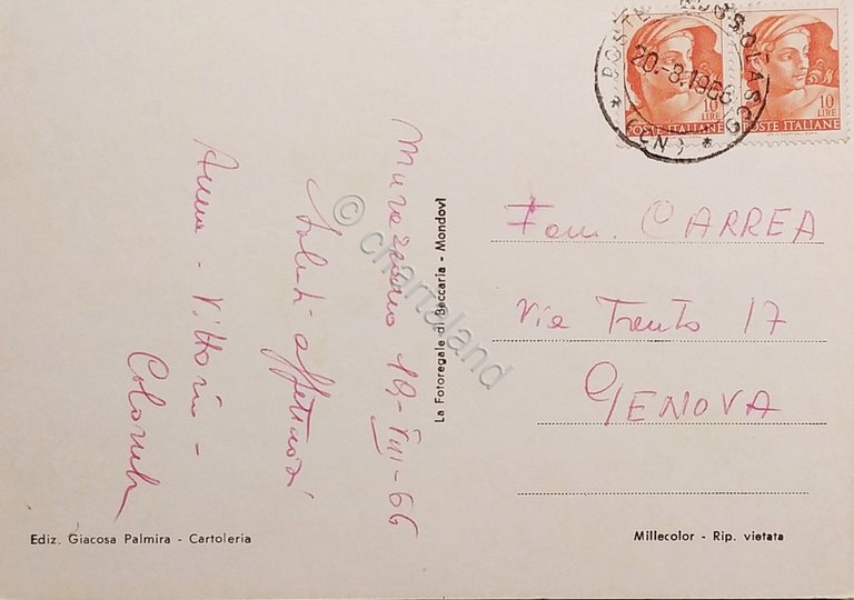 Cartolina - Saluti da Murazzano ( Cuneo ) - Vedute …