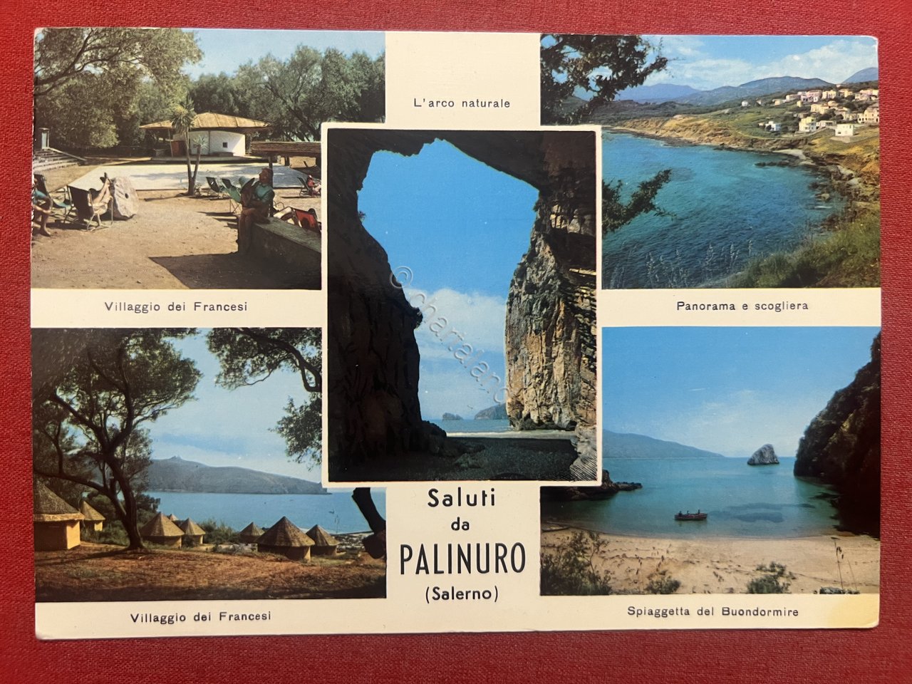 Cartolina - Saluti da Palinuro ( Salerno ) - Vedute …