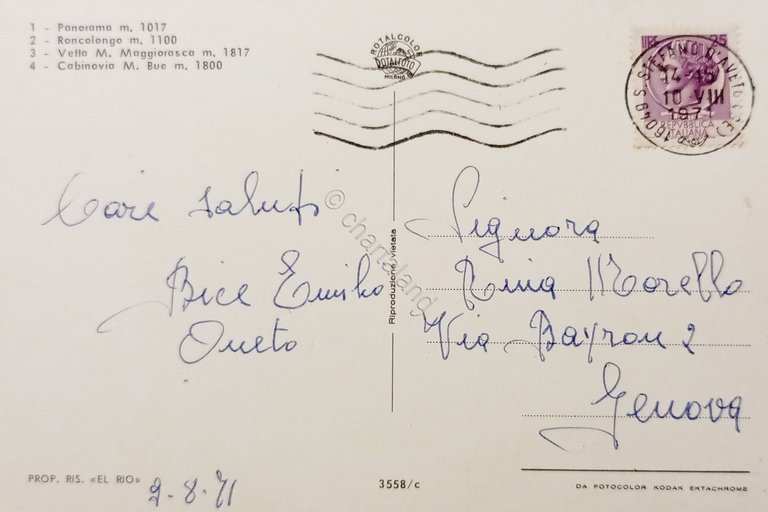 Cartolina - Saluti da San Stefano d'Aveto - Vedute diverse …