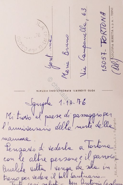 Cartolina - Saluti da Sgurgola - 1976